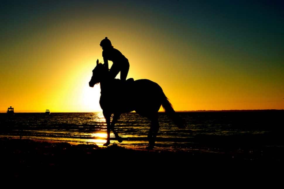 chelsea harden, horse, heart center, give back, dream big, venture, entrepreneur, entrepreneurship, social entrepreneurship, diverse entrepreneurship, female entrepreneurship, women at work