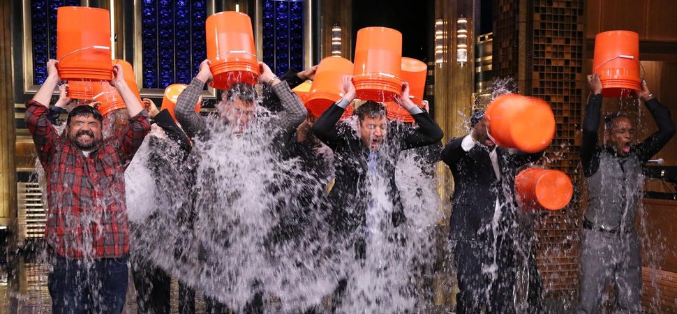 ice bucket challenge, als, SEED SPOT, hashtag, storytelling, power, accelerator, incubator, entrepreneur