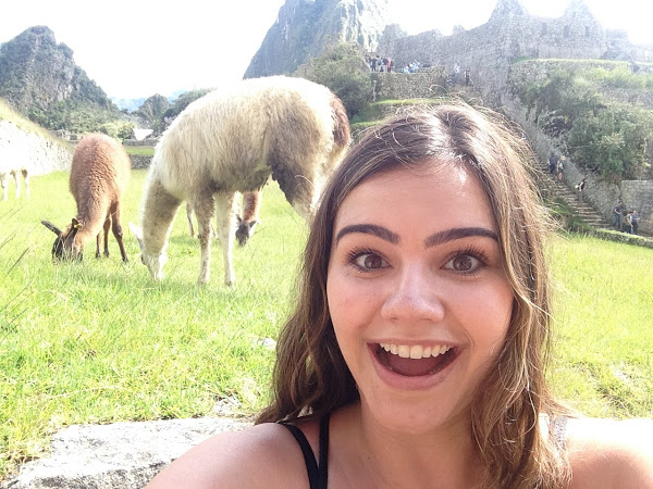 Machu Picchu, llama, SEED SPOT, Digital Marketing Manager, Bianca Buliga